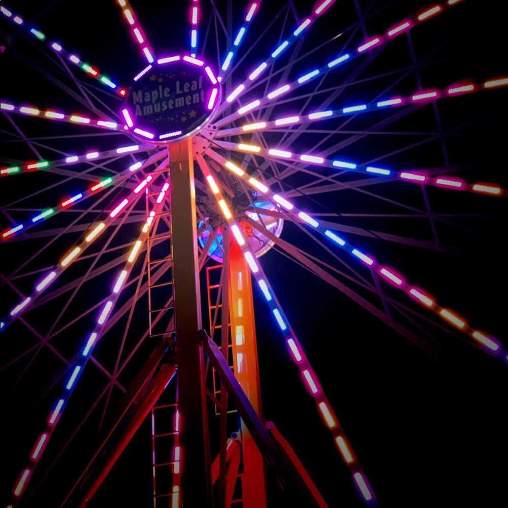 Meet your Posher, Josey